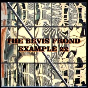 Bevis Frond - Example 22 i gruppen CD / Rock hos Bengans Skivbutik AB (1521233)