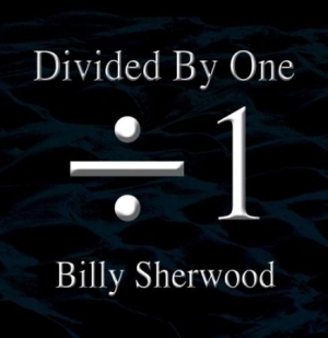 Sherwood Billy - Divided By One i gruppen CD / Pop-Rock hos Bengans Skivbutik AB (1521261)