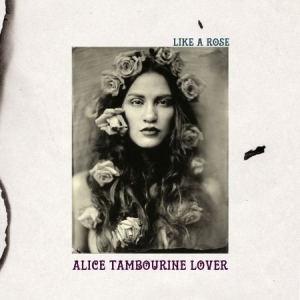 Alice Tambourine Lover - Like A Rose i gruppen CD / Pop hos Bengans Skivbutik AB (1521369)