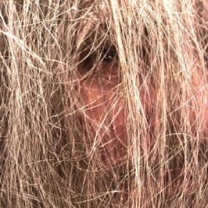 Luminous Bodies - Luminous Bodies i gruppen VINYL / Rock hos Bengans Skivbutik AB (1525622)