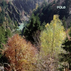Pole - Wald i gruppen CD / Pop hos Bengans Skivbutik AB (1528684)