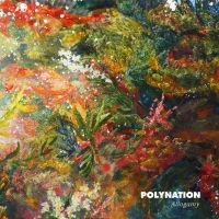 Polynation - Allogamy i gruppen VINYL / Pop-Rock hos Bengans Skivbutik AB (1532924)
