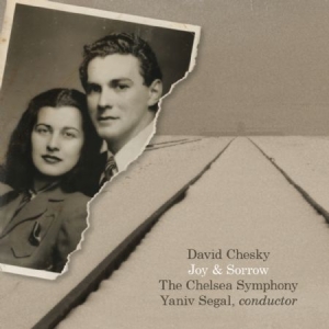 Chesky David - Joy & Sorrow i gruppen CD / Pop hos Bengans Skivbutik AB (1532939)