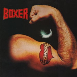 Boxer - Absolutely i gruppen CD / Rock hos Bengans Skivbutik AB (1539797)