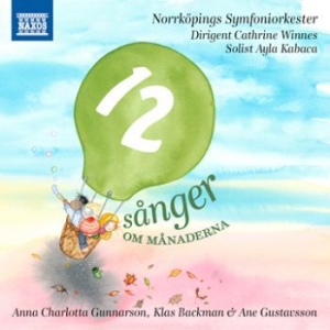 Norrköpings So - 12 Sånger Om Månaderna i gruppen ÖVRIGT / cdonuppdat / CDON Jazz klassiskt NX hos Bengans Skivbutik AB (1541485)