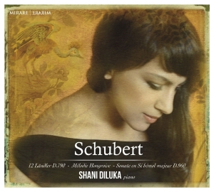 Schubert Franz - Sonata D960 i gruppen CD / Klassiskt,Övrigt hos Bengans Skivbutik AB (1545818)