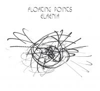 Floating Points - Elaenia i gruppen VINYL / Dance-Techno,Pop-Rock hos Bengans Skivbutik AB (1546038)