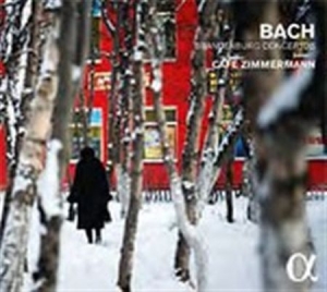 Bach J S - Brandenburg Concertos i gruppen CD / Övrigt hos Bengans Skivbutik AB (1551605)