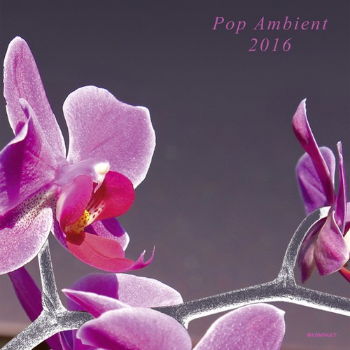Blandade Artister - Pop Ambient 2016 (Inkl.Cd) i gruppen ÖVRIGT / Övrigt / aub hos Bengans Skivbutik AB (1551737)