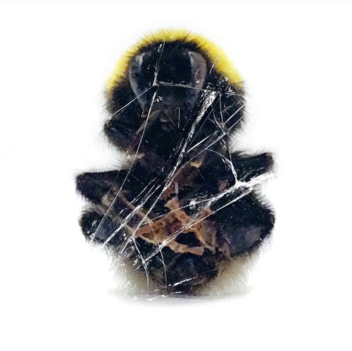 Deadbeat - Walls And Dimensions i gruppen VINYL / Dans/Techno hos Bengans Skivbutik AB (1554385)