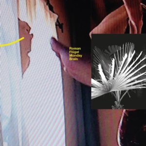 Flugel Roman - Monday Brain i gruppen VINYL / Dans/Techno hos Bengans Skivbutik AB (1554417)