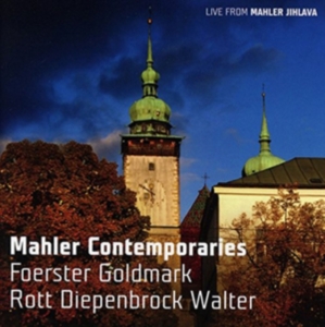 Foerster / Goldmark / Rott - Mahler Contemporaries i gruppen Externt_Lager / Naxoslager hos Bengans Skivbutik AB (1555171)