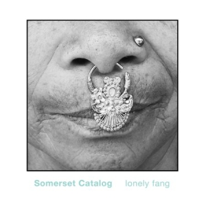 Somerset Catalog - Lonely Fang i gruppen VINYL / Pop-Rock hos Bengans Skivbutik AB (1555543)