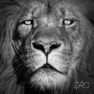 Ziro - Lionheart Ep i gruppen VINYL / Rock hos Bengans Skivbutik AB (1702304)