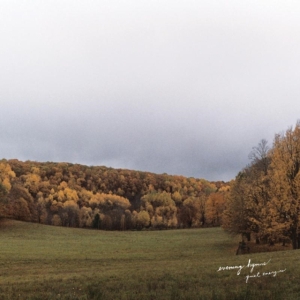 Evening Hymns - Quiet Energies i gruppen VINYL / Pop-Rock hos Bengans Skivbutik AB (1705275)