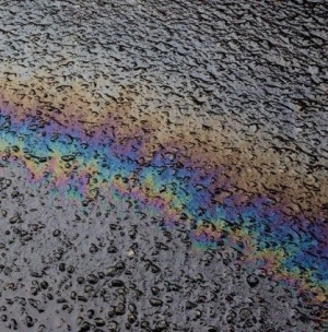 Laurel Halo - In Situ i gruppen CD / Dans/Techno hos Bengans Skivbutik AB (1705346)