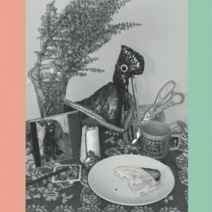 Vincent Over The Sink - 22 Coloured Bull-Terriers i gruppen VINYL / Rock hos Bengans Skivbutik AB (1710755)