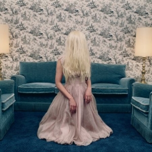 Dimesland - Psychogenic Atrophy i gruppen CD / Rock hos Bengans Skivbutik AB (1710767)