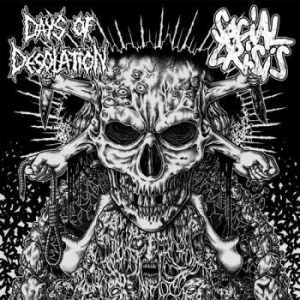 Social Crisis / Days Of Desolation - Split i gruppen VINYL / Rock hos Bengans Skivbutik AB (1712745)