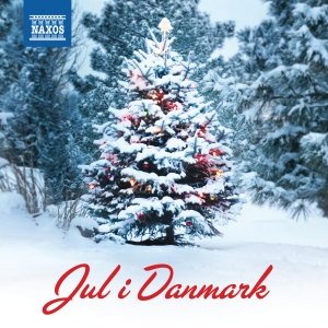 Various - Jul I Danmark i gruppen VI TIPSAR / Julmusik på Vinyl & CD hos Bengans Skivbutik AB (1713014)