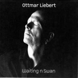 Liebert Ottmar - Waiting N Swan i gruppen CD / Pop hos Bengans Skivbutik AB (1713232)