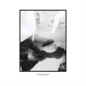 Hippo Campus - Halocline Eps i gruppen CD / Dance-Techno hos Bengans Skivbutik AB (1713355)