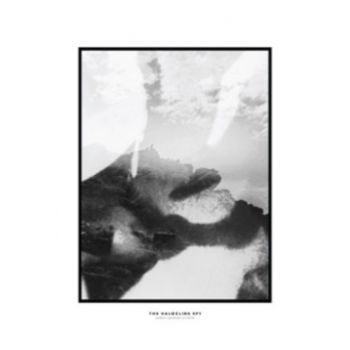 Hippo Campus - Halocline Eps i gruppen CD / Toppsäljare hos Bengans Skivbutik AB (1713355)
