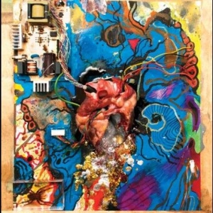 Timmy's Organism - Heartless Heathen i gruppen VINYL / Pop-Rock hos Bengans Skivbutik AB (1718831)