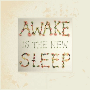 Lee Ben - Awake Is The New Sleep i gruppen VINYL / Pop-Rock hos Bengans Skivbutik AB (1721211)