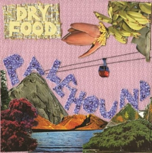 Palehound - Dry Food i gruppen VINYL / Rock hos Bengans Skivbutik AB (1729718)