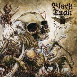 Black Tusk - Pillars Of Ash i gruppen VINYL / Hårdrock hos Bengans Skivbutik AB (1733893)