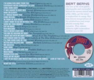 Various Artists - Mr Success: The Bert Berns Story Vo i gruppen CD / Pop-Rock hos Bengans Skivbutik AB (1734976)