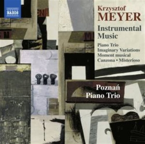 Meyer Krzysztof - Instrumental Music i gruppen Externt_Lager / Naxoslager hos Bengans Skivbutik AB (1735007)
