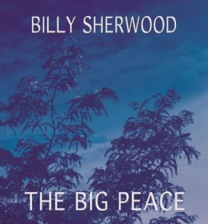 Sherwood Billy - Big Peace i gruppen CD / Rock hos Bengans Skivbutik AB (1735144)