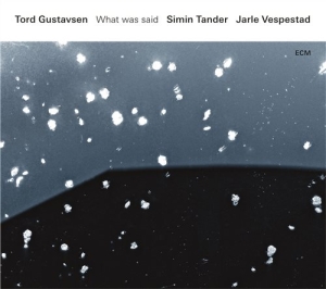 Tord Gustavsensimin Tander Jarle - What Was Said i gruppen VI TIPSAR / Klassiska lablar / ECM Records hos Bengans Skivbutik AB (1737257)
