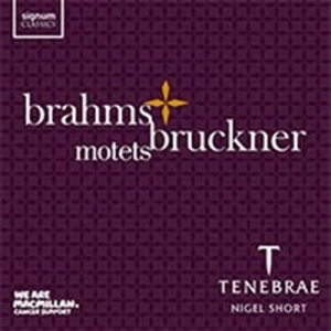 Brahms / Bruckner - Motets i gruppen Externt_Lager / Naxoslager hos Bengans Skivbutik AB (1740164)