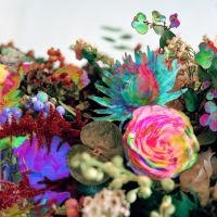 Darkstar - News From Nowhere (2Lp) i gruppen VINYL / Pop-Rock,Reggae hos Bengans Skivbutik AB (1793952)