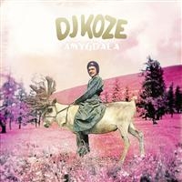 Dj Koze - Amygdala i gruppen VINYL / Pop-Rock hos Bengans Skivbutik AB (1794036)
