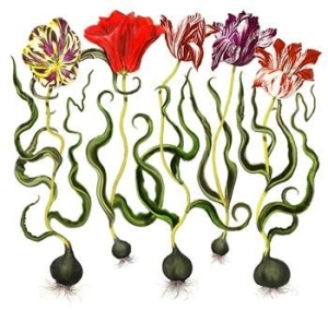 Den Stora Vilan - Den Stora Vilan i gruppen CD / Pop-Rock hos Bengans Skivbutik AB (1796099)