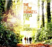 Blow Monkeys - Feels Like A New Morning i gruppen ÖVRIGT / MK Test 8 CD hos Bengans Skivbutik AB (1796774)
