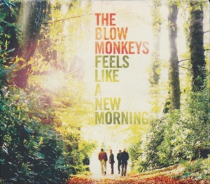 Blow Monkeys - Feels Like A New Morning i gruppen CD / Pop-Rock hos Bengans Skivbutik AB (1796774)