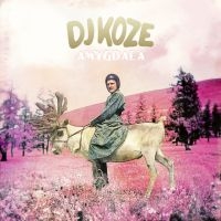 Dj Koze - Amygdala i gruppen VI TIPSAR / Way Out West 2026 hos Bengans Skivbutik AB (1796923)