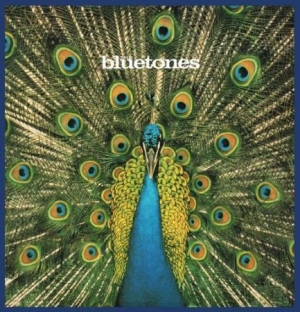 Bluetones - Expecting To Fly - 20Th Ann.Edition i gruppen CD / Pop-Rock hos Bengans Skivbutik AB (1798115)