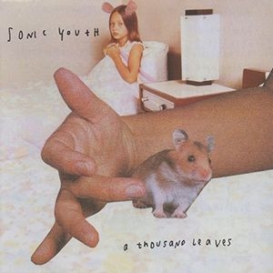 Sonic Youth - Thousand Leaves (2Lp) in the group Minishops / Sonic Youth at Bengans Skivbutik AB (1798422)