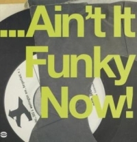 Various Artists - Ain't It Funky Now! i gruppen VINYL / Pop-Rock,RnB-Soul hos Bengans Skivbutik AB (1810343)