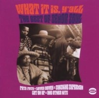 Senor Soul - What It Is, Y'all - The Best Of Sen i gruppen CD / Pop-Rock,RnB-Soul hos Bengans Skivbutik AB (1810462)