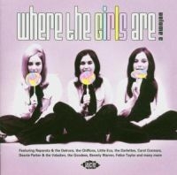 Various Artists - Where The Girls Are Volume 6 i gruppen CD / Pop-Rock hos Bengans Skivbutik AB (1810590)