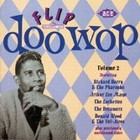 Various Artists - Flip Doo Wop Vol 2 i gruppen CD / Pop-Rock,RnB-Soul hos Bengans Skivbutik AB (1810984)
