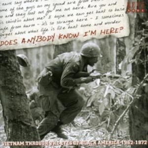 Various Artists - Does Anybody Know I'm Here? Vietnam i gruppen CD / Pop-Rock hos Bengans Skivbutik AB (1811207)