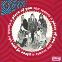 She - Wants A Piece Of You i gruppen CD / Pop-Rock hos Bengans Skivbutik AB (1811535)